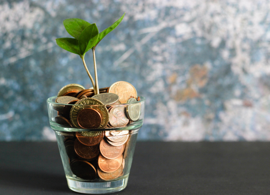 Conscientização Financeira Conscientização Financeira